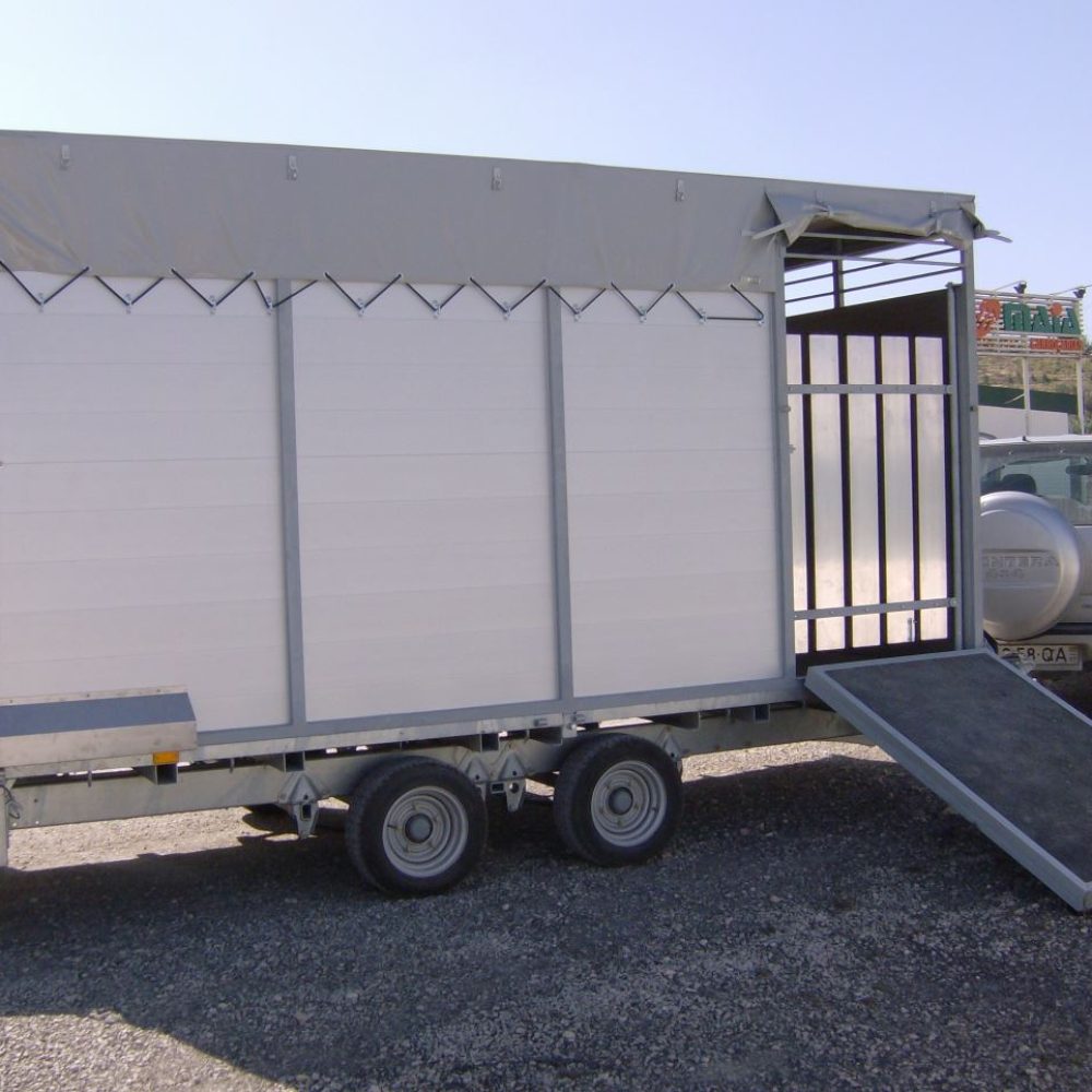 transporte-cavalos22